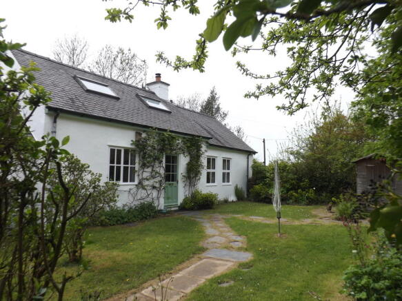 Photo 11