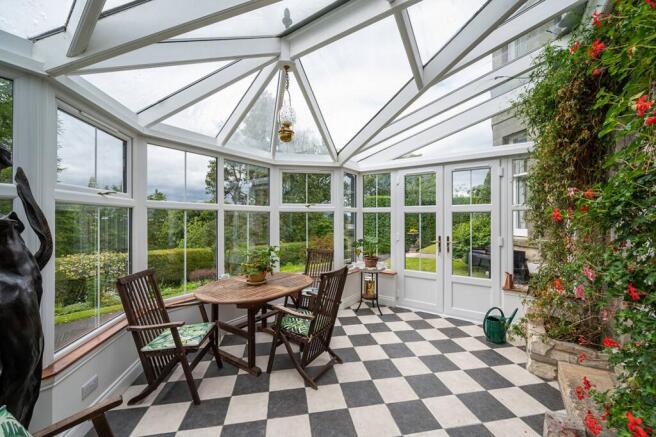MFL5256559_283.jpg