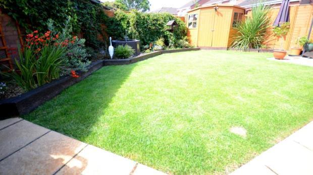 Garden 2