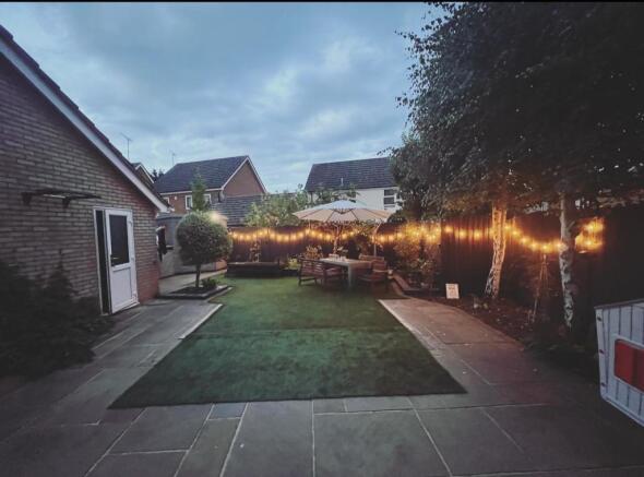 garden pic night time.jpg