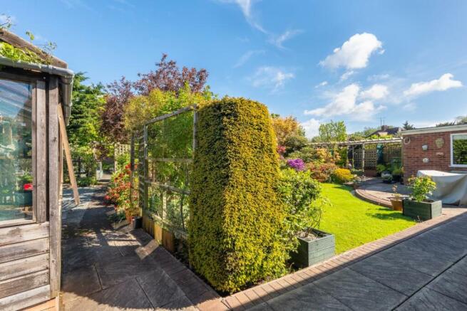 GARDEN-2.jpg