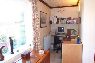 STUDY AREA