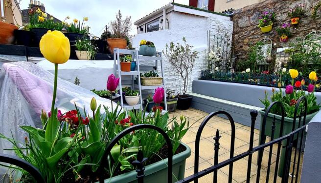 Rear garden