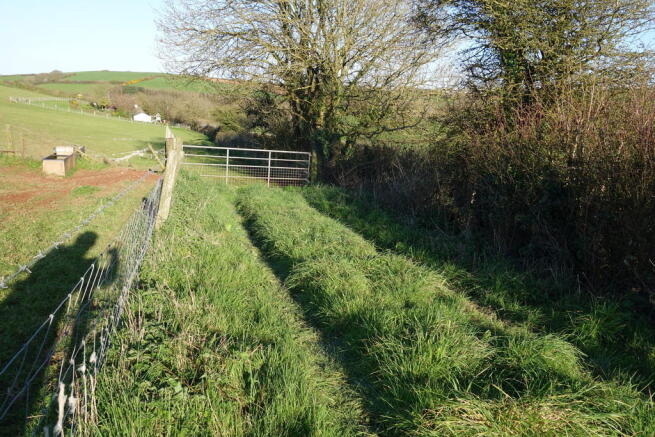 Photo 3