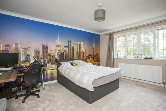 Photo 8