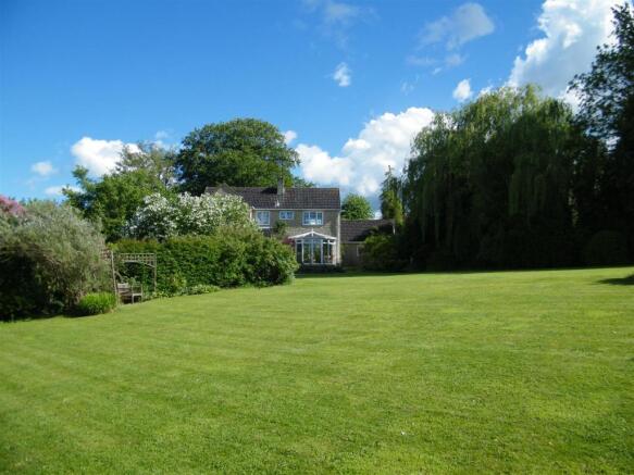 new garden 3.JPG