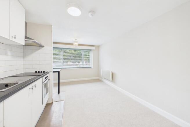 Kitchen - Living - Bedroom