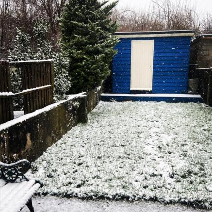 Garden in winter