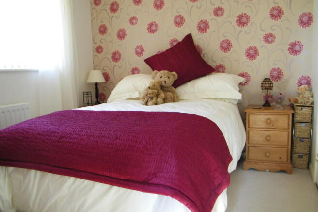 Picture 6