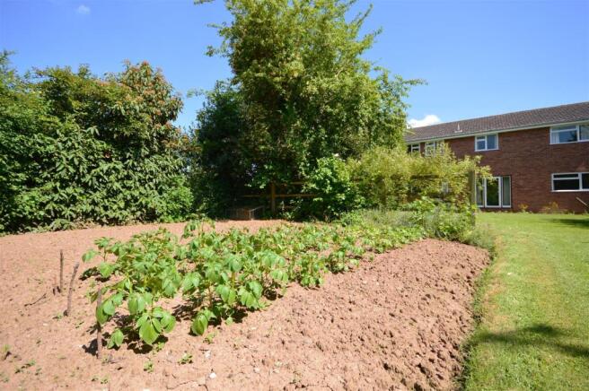 Vegetable Bed.JPG