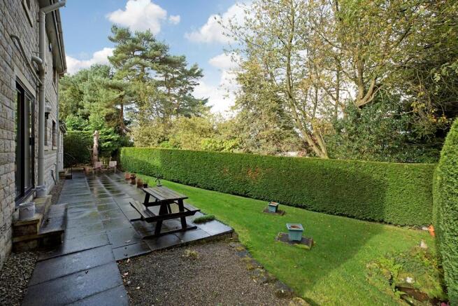 Rear Patio