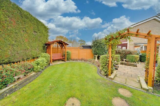 Back Garden 3