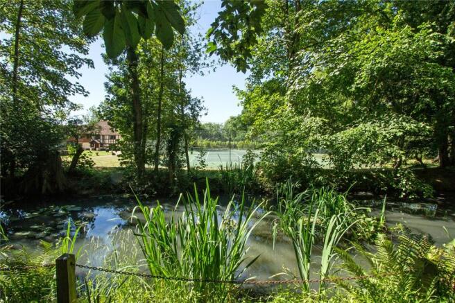 Pond