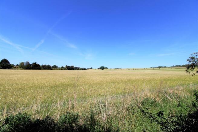 field views