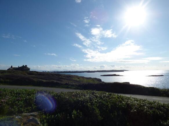 Front views