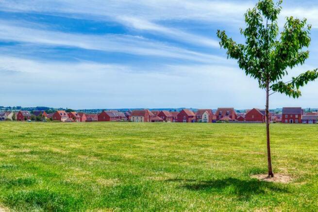Green Space To Rear