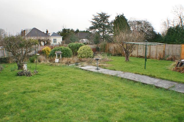 Back Garden