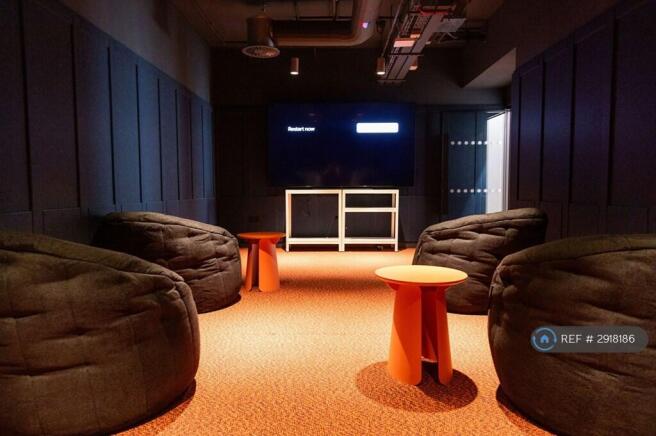 Communal Cinema Room