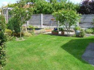 Garden 2