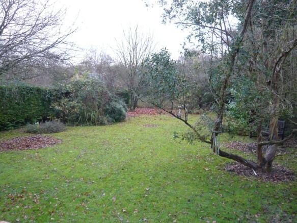Rear garden