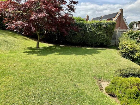 garden a.jpg