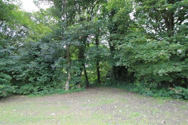 Woodland views to re