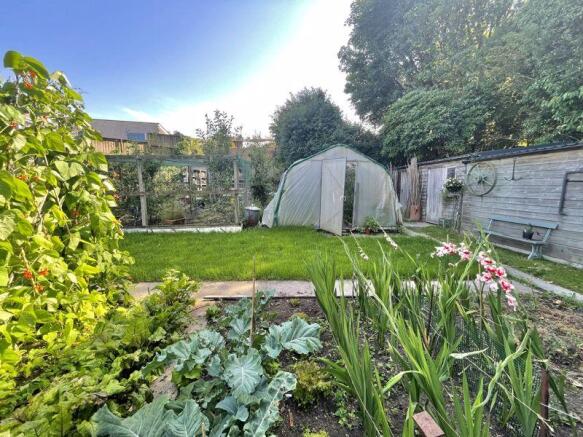 Polytunnel And...