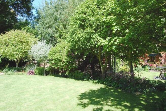 More Garden Photographs Image 3