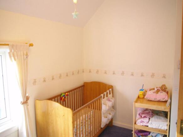 Photograph 6