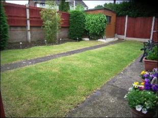 Back Garden