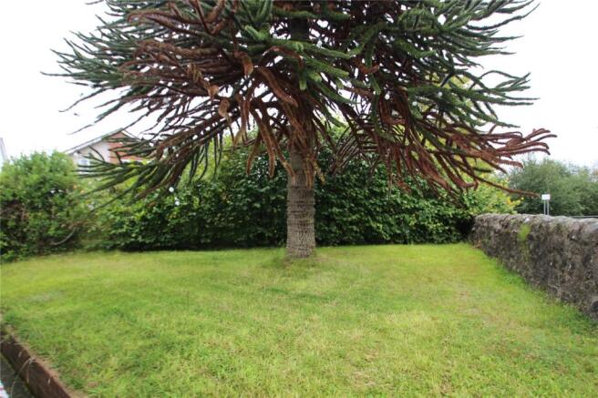 Side Garden
