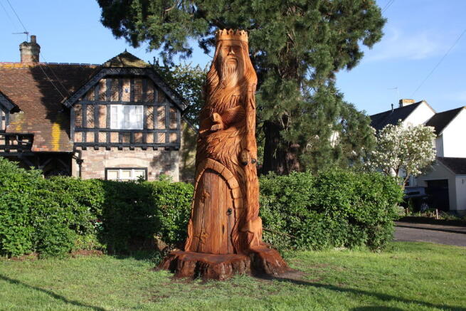 Photo 11