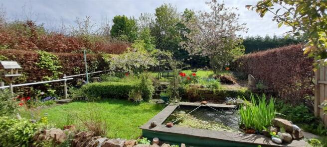 Garden 2.jpg
