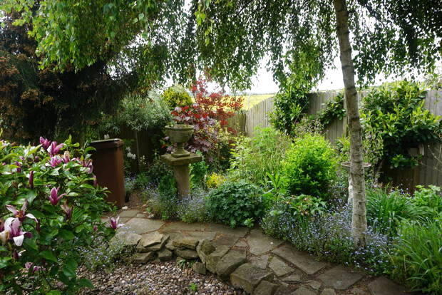 Photo 18