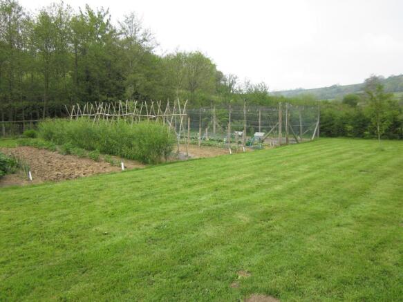 Vegetable Garden