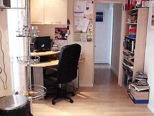 STUDY AREA