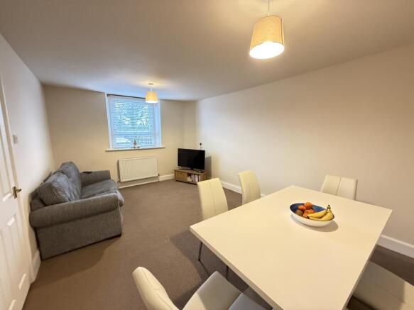 IMG 2569 T202601131639.jpg