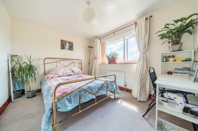 Photos