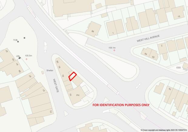 20260218131440 202602181308sq Liia T202602181326.jpg