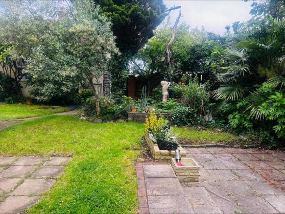 Garden 2 .jpeg