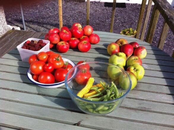 Produce from T...