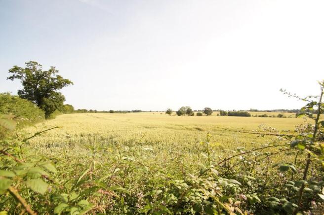 Fields to rear