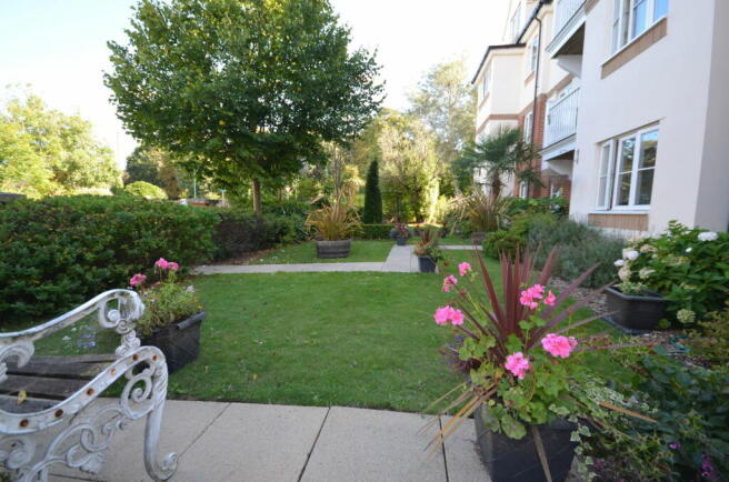 Photo 11