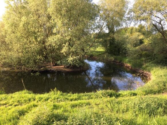 Photo 33