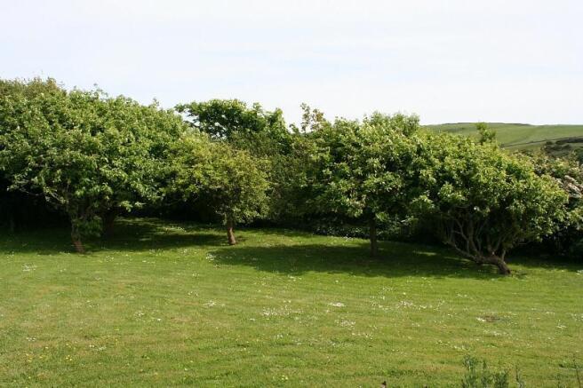 Garden 2