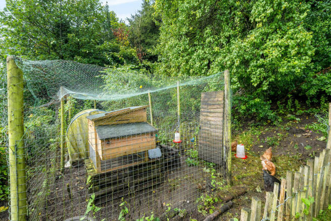Elevated Garden