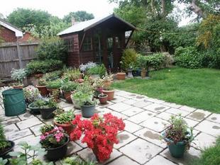 Photo 13