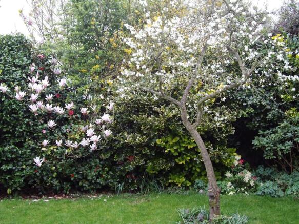 Mature Garden