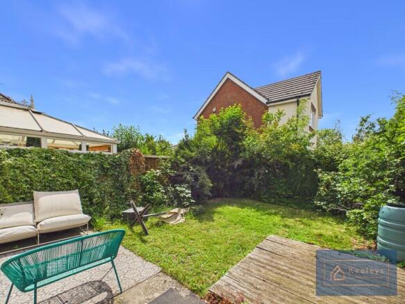 Back Garden