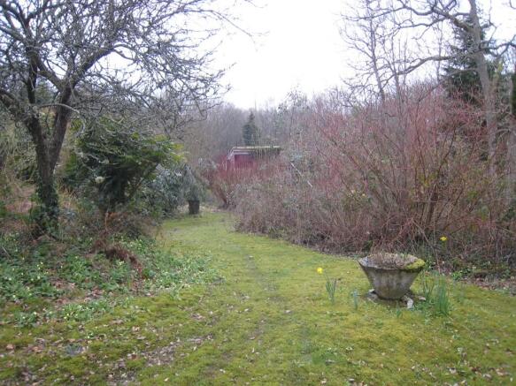 Photo 17